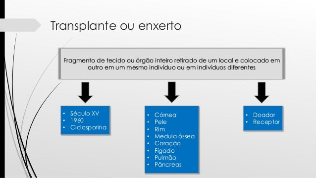 imunologia dos transplantes